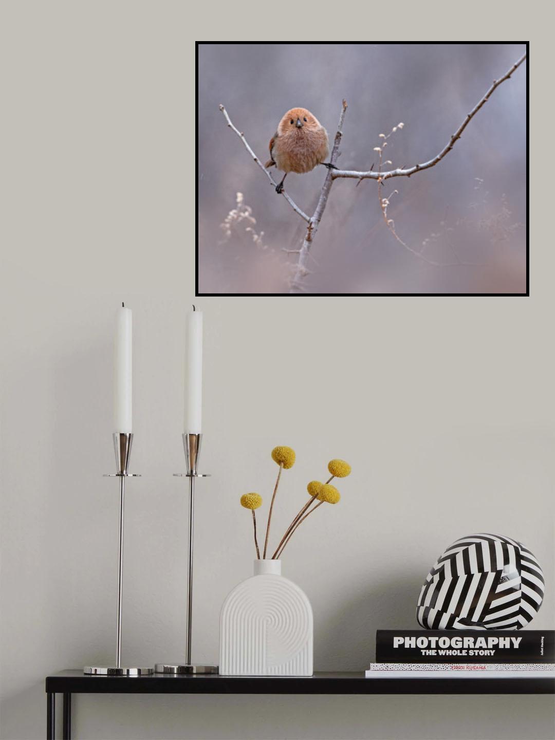 Vinous-throated Poster och Canvastavla