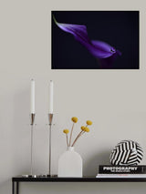 Kala`s pearl lll Poster och Canvastavla