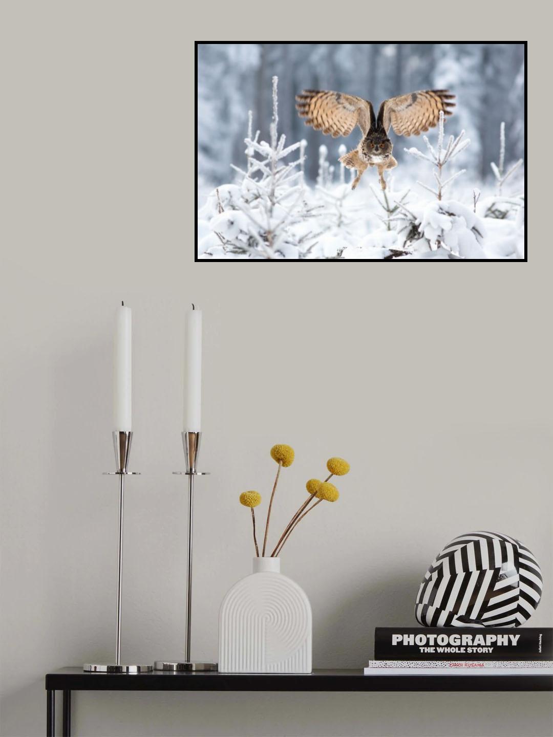 Eurasian eagle-owl Poster och Canvastavla