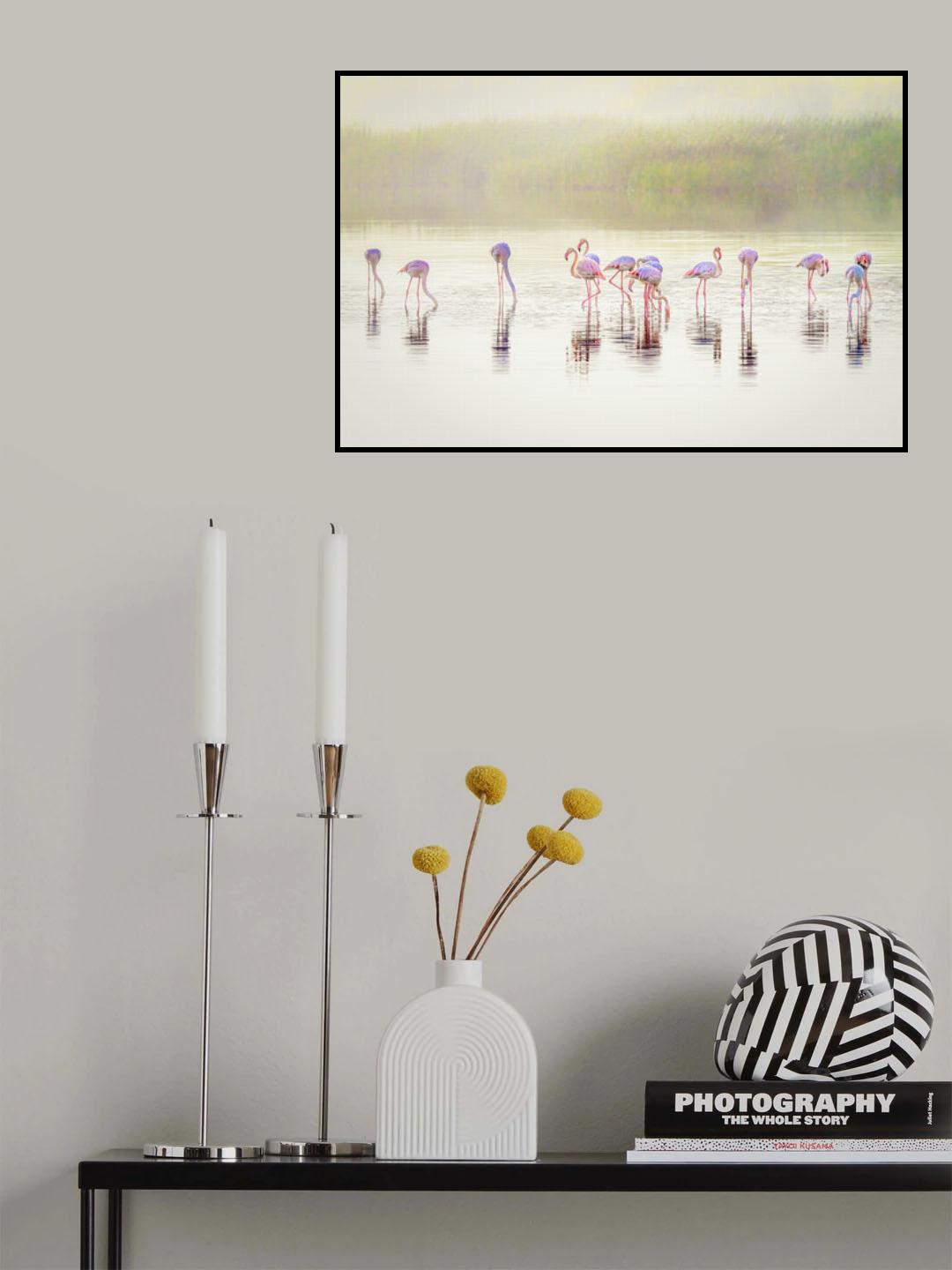 The pastel flamingos in the mist Poster och Canvastavla