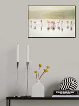 The pastel flamingos in the mist Poster och Canvastavla
