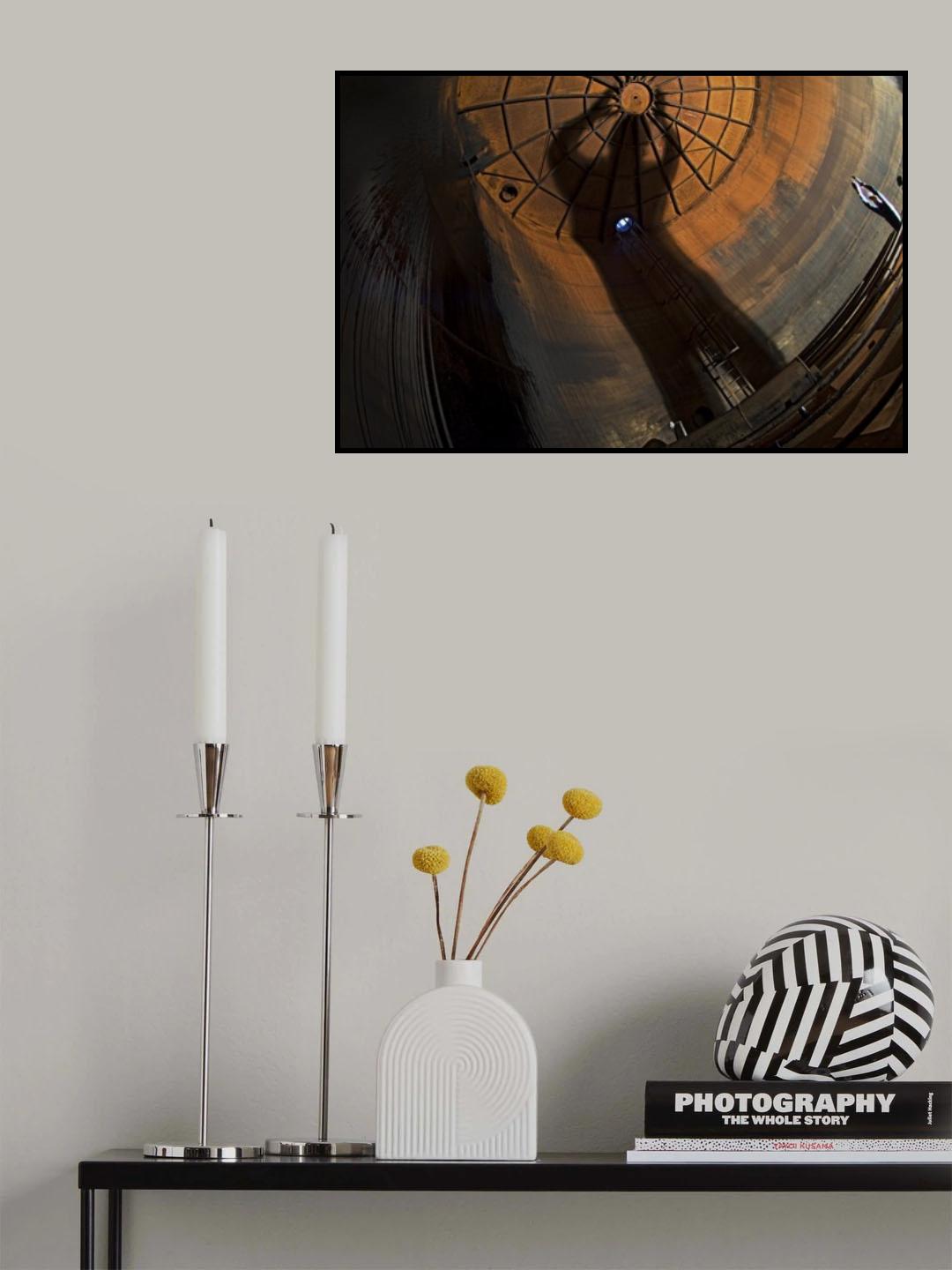 To catch of shadows Poster och Canvastavla
