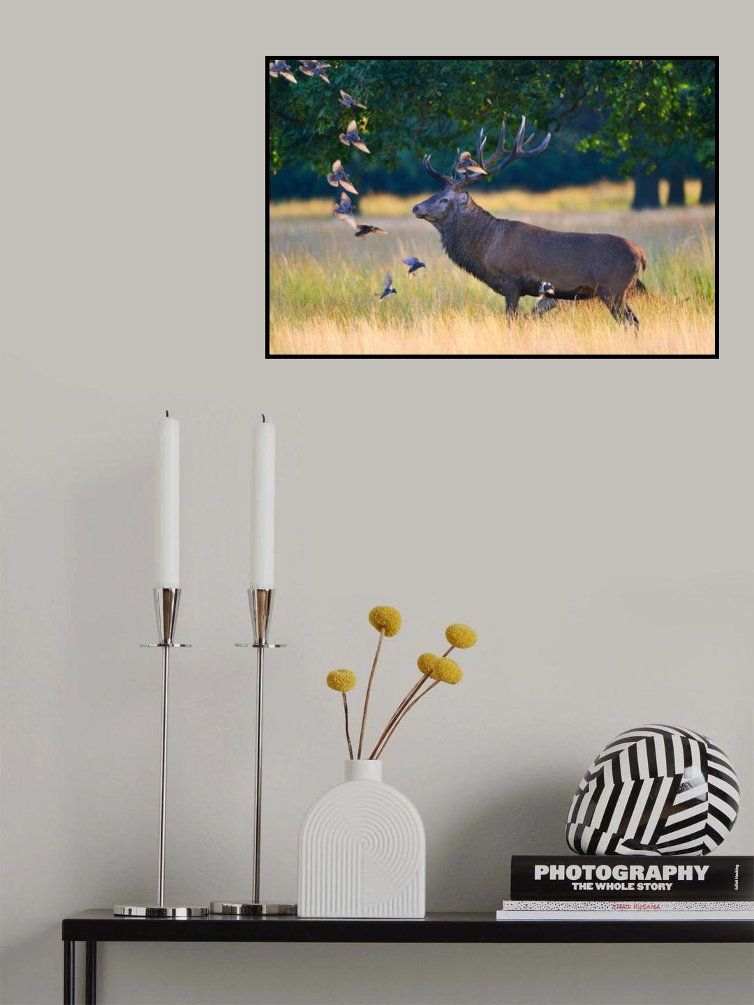 Natural leading lines Poster och Canvastavla