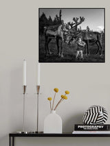 My Pet Poster och Canvastavla