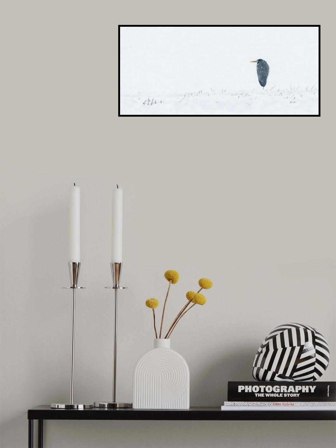 Heron Poster och Canvastavla
