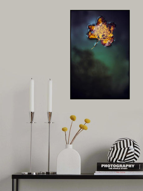Leaf on Water Poster och Canvastavla