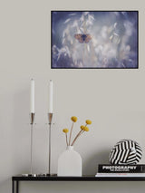 Blue Velvet Poster och Canvastavla