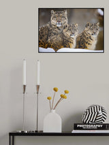 Family Poster och Canvastavla