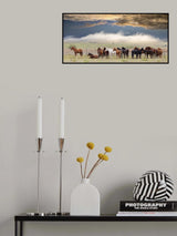Horses Poster och Canvastavla