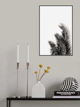 Palms Leaves Poster och Canvastavla