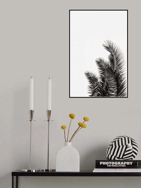 Palms Leaves Poster och Canvastavla