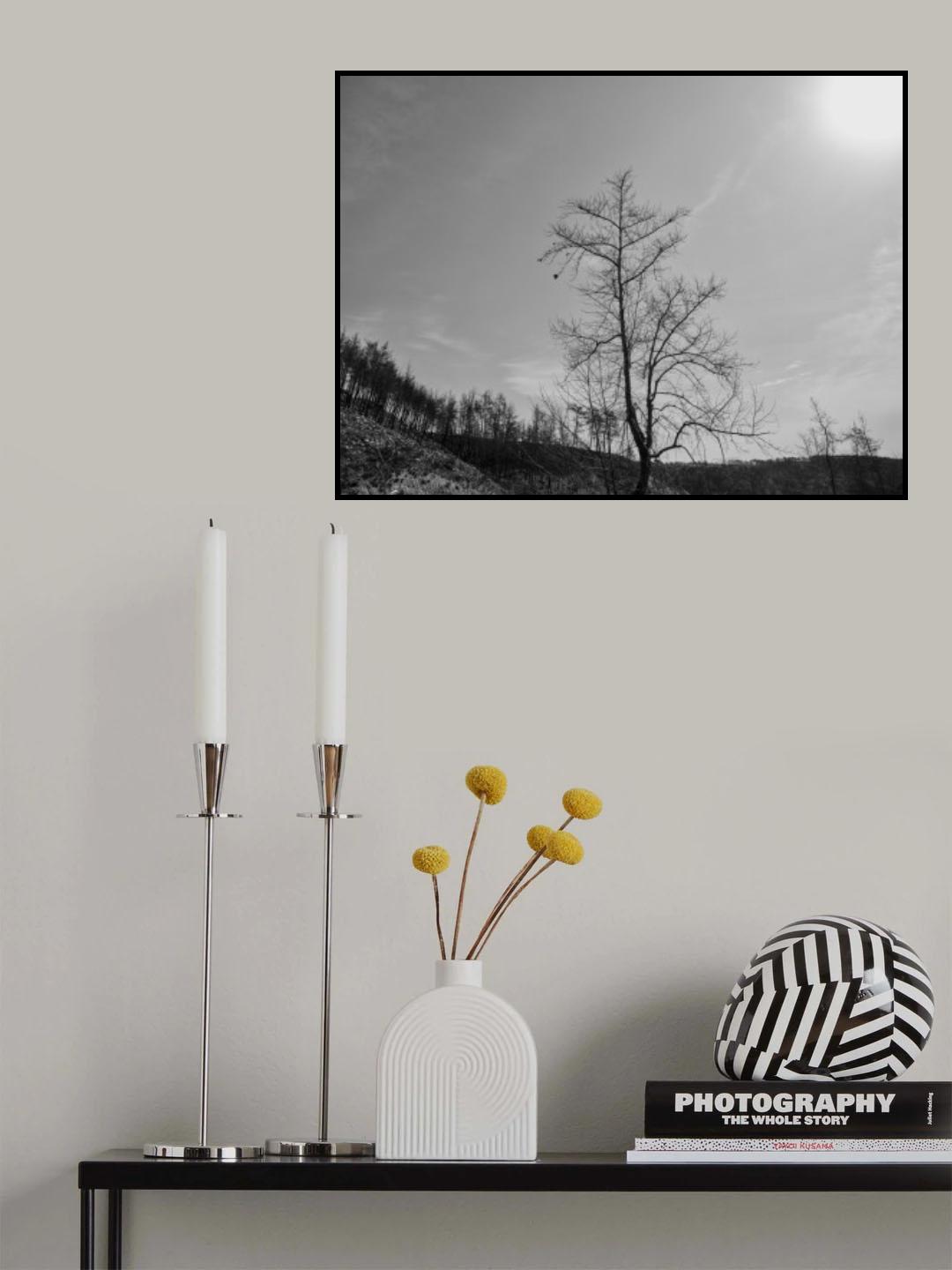 a burned tree Poster och Canvastavla