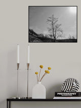 a burned tree Poster och Canvastavla