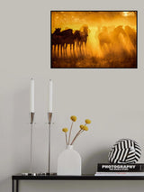 Zebras in Early Light-Botswana Poster och Canvastavla