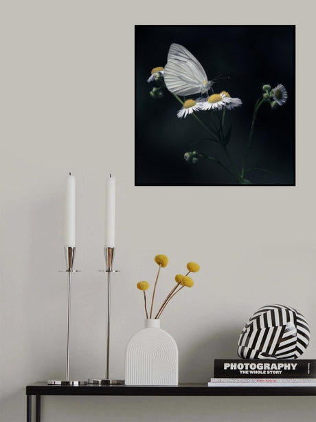 butterfly Poster och Canvastavla