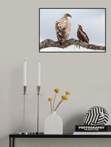 Any problem? Poster och Canvastavla