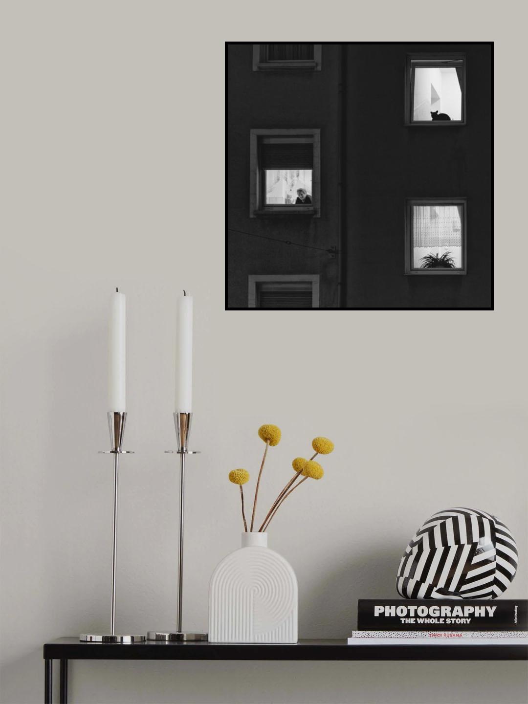 The Lives of Others Poster och Canvastavla