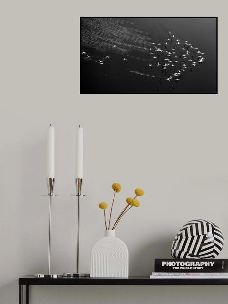 Take Off Poster och Canvastavla