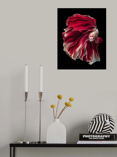 Wave Betta Poster och Canvastavla