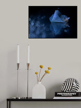 In the valley of illusions Poster och Canvastavla
