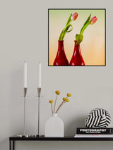 Poster och Canvastavla