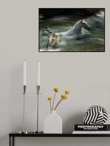 No problem Poster och Canvastavla
