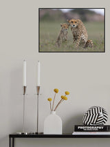 Family Portrait Poster och Canvastavla