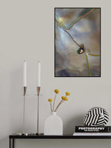 Calmness Poster och Canvastavla