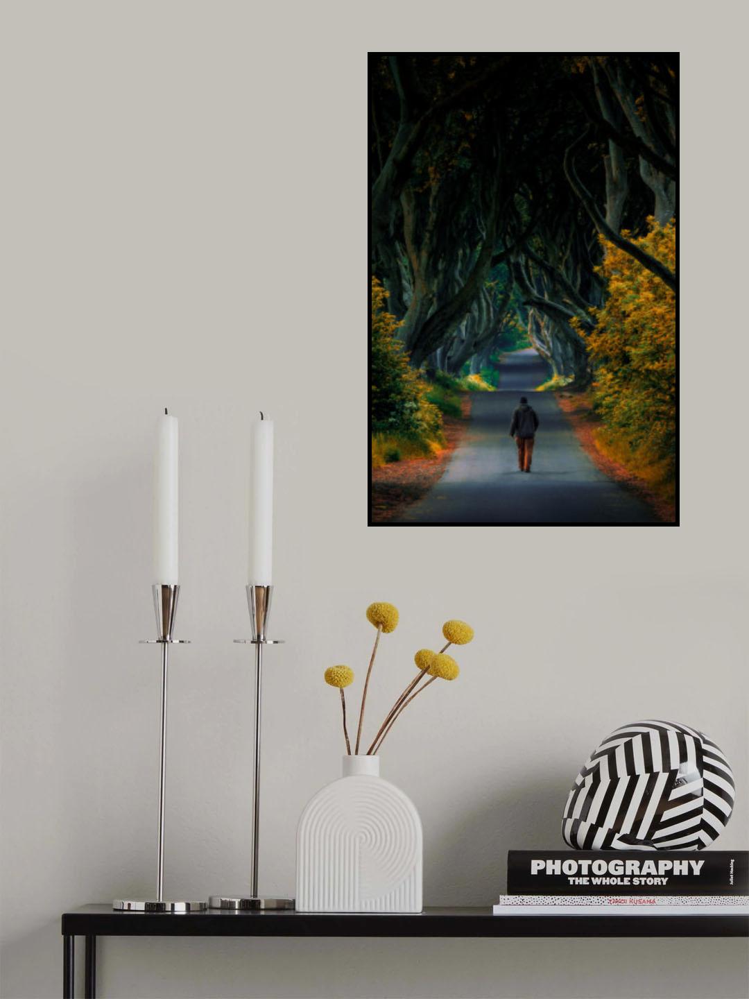 Walk in the Hedges Poster och Canvastavla
