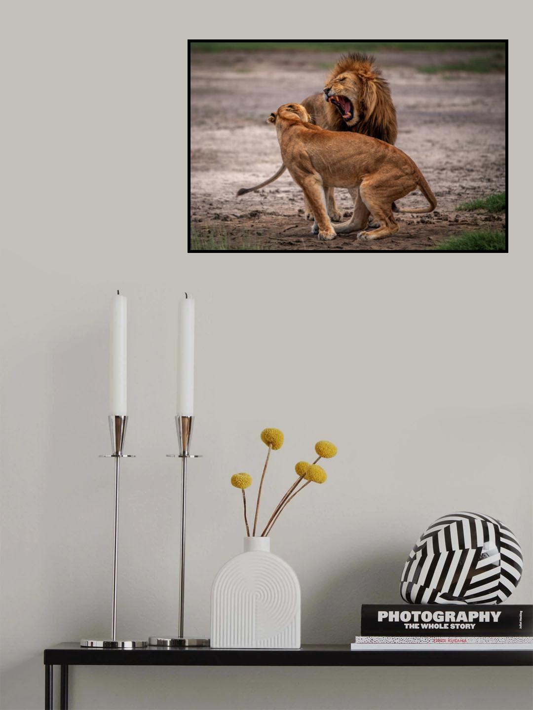 Superior Poster och Canvastavla