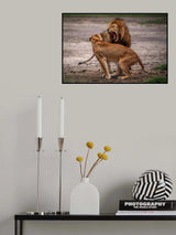 Superior Poster och Canvastavla