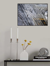 Graphisms... Poster och Canvastavla