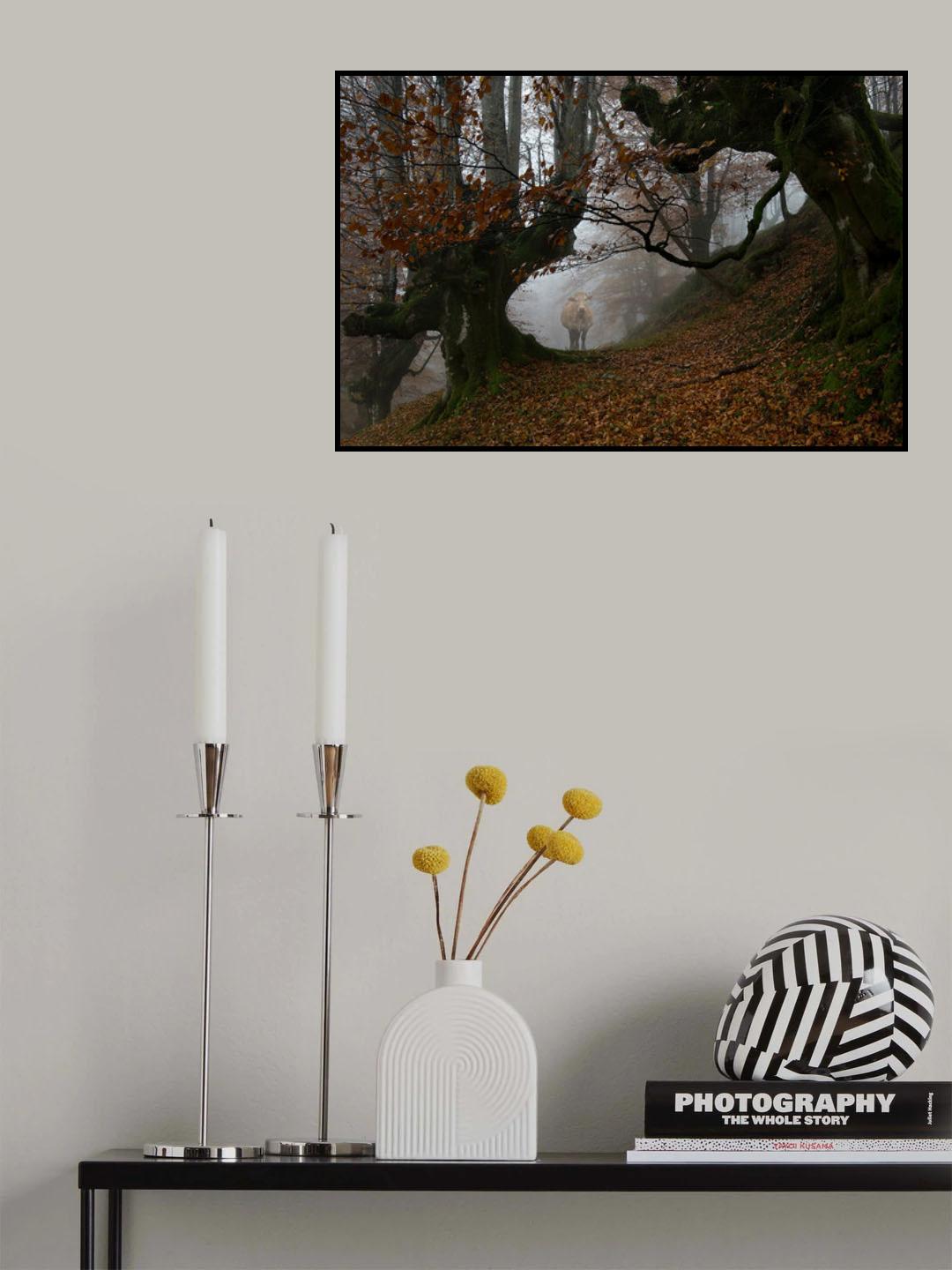 Natural path Poster och Canvastavla