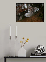 Natural path Poster och Canvastavla