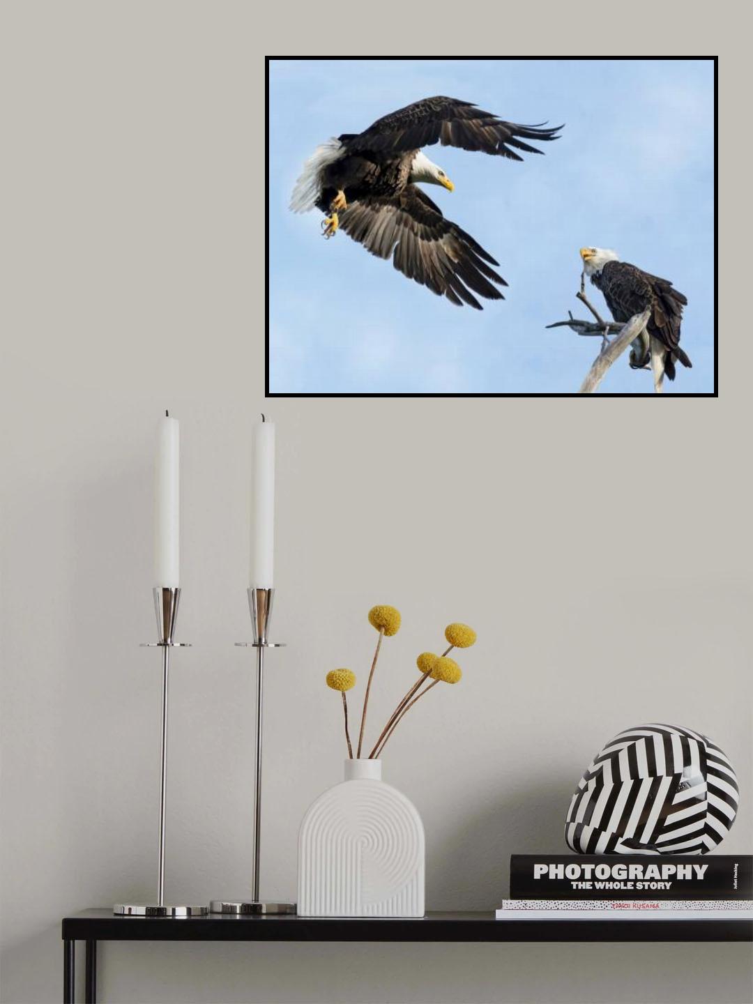 Swoop Poster och Canvastavla