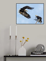 Swoop Poster och Canvastavla