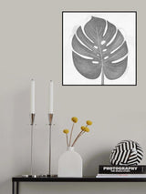 Grey Leaf Poster och Canvastavla