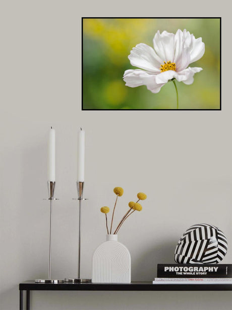 Cosmos Poster och Canvastavla