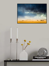 Storm, wind, rain, sand, camels and incredible light in the desert Poster och Canvastavla