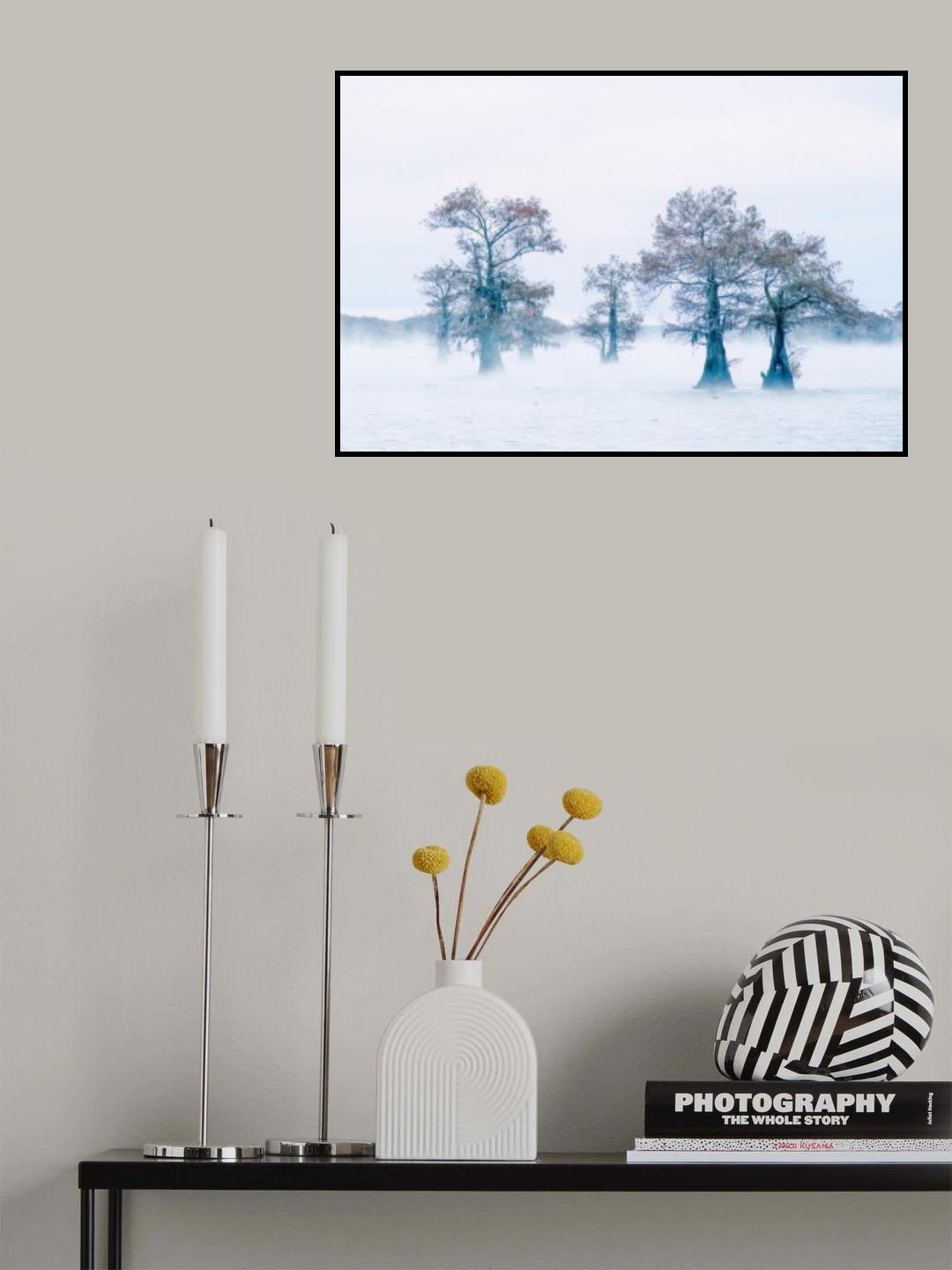 Tranquility Poster och Canvastavla