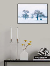 Tranquility Poster och Canvastavla