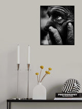 Poster och Canvastavla