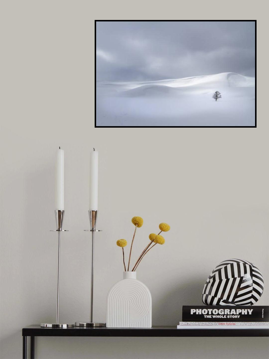 Winter Solitude 7142 Poster och Canvastavla