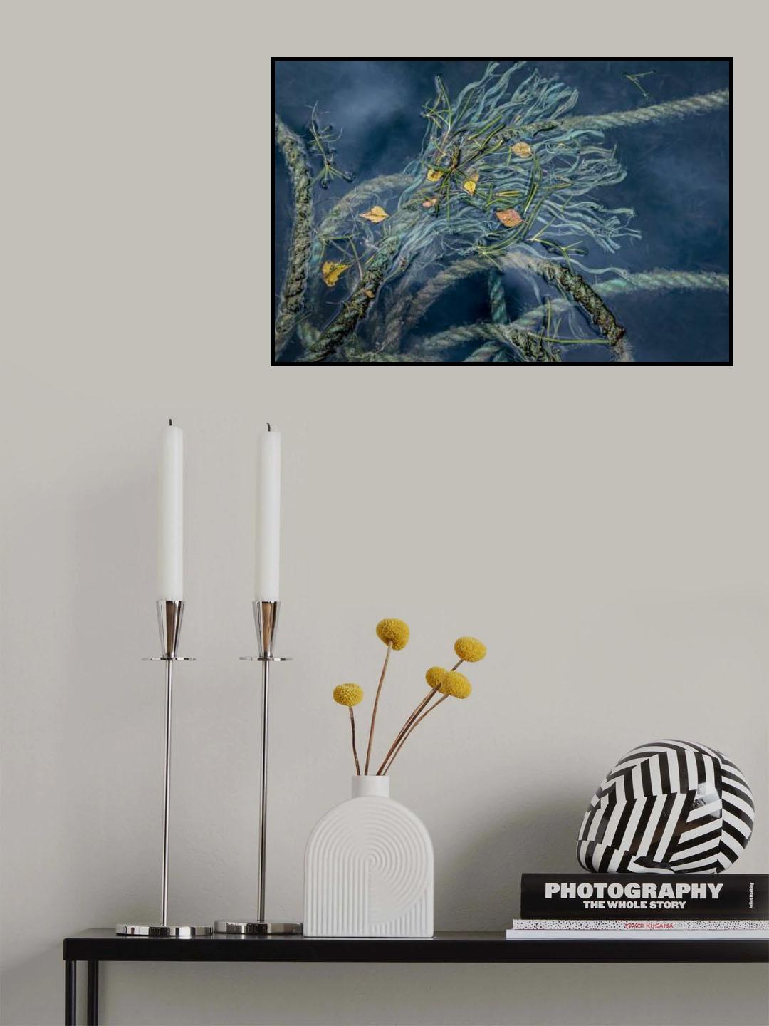 the water's edge Poster och Canvastavla