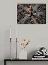 friend Poster och Canvastavla