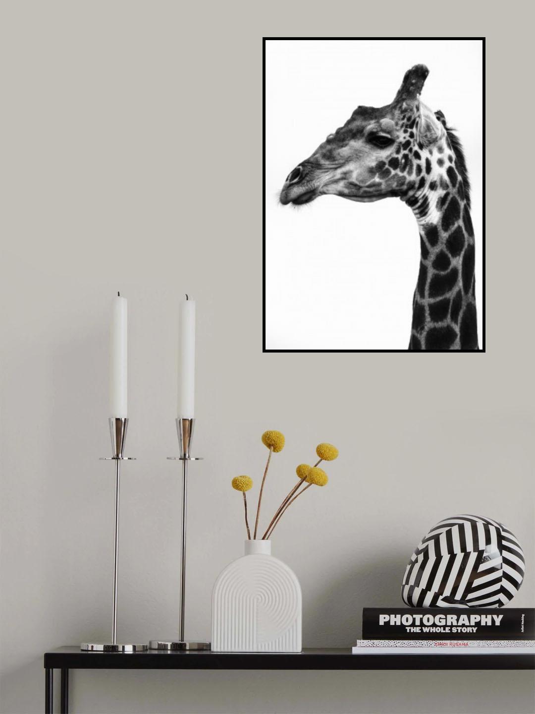 Super Safari No1 Poster och Canvastavla
