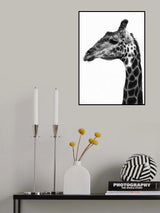 Super Safari No1 Poster och Canvastavla