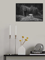 Little shepherd cows - II Poster och Canvastavla