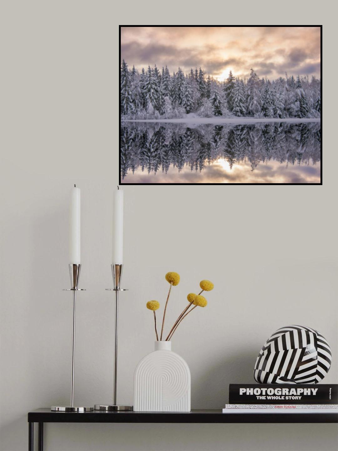 Winters reflection Poster och Canvastavla