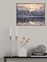 Winters reflection Poster och Canvastavla